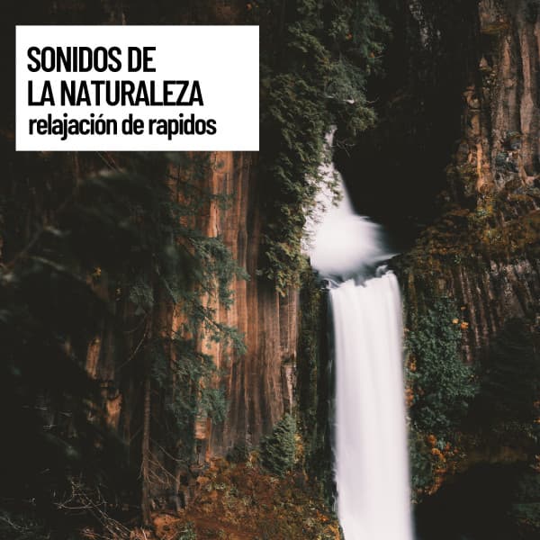 En Paz Total: Sonidos de la naturaleza: relajaci—n de rapidos - Música Instrumental Maestro