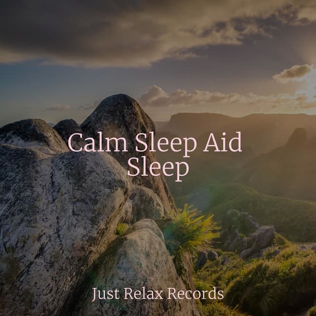Calm Sleep Aid Sleep - Easy Sleep Music
