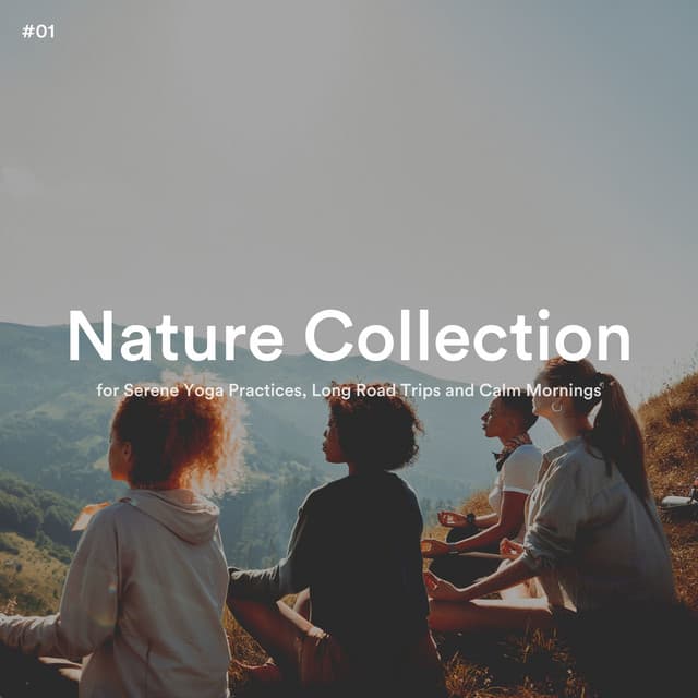 #01 Nature Collection for Serene Yoga Practices, Long Road Trips and Calm Mornings - Soft Soundscapes