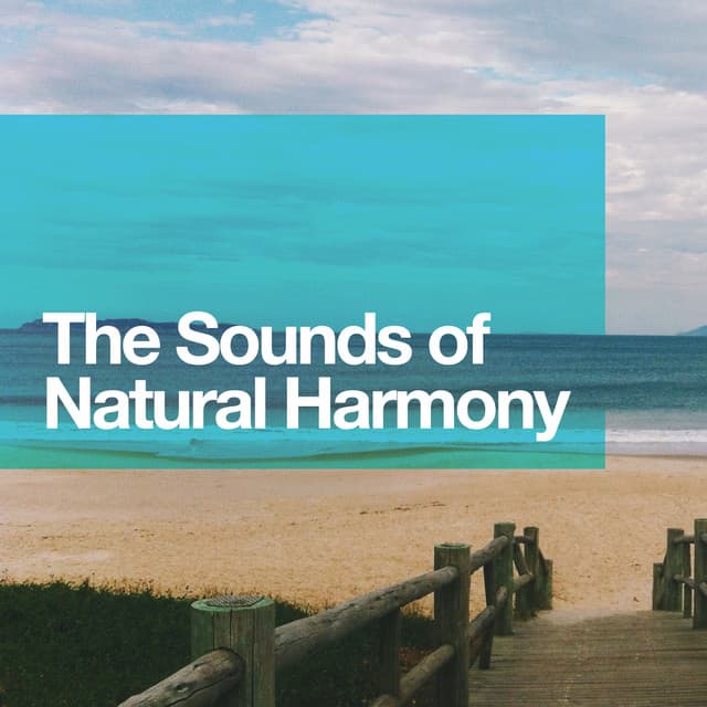The Sounds of Natural Harmony - Rest & Relax Nature Sounds Artists