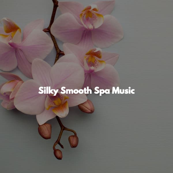 Silky Smooth Spa Music - Massage Music Playlist