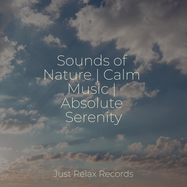 Sounds of Nature | Calm Music | Absolute Serenity - Meditación