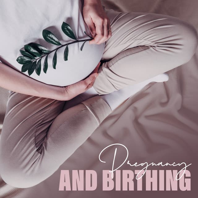 Pregnancy and Birthing: Music to Help Ease Pregnancy Nerves - Pregnancy Relaxation Orchestra