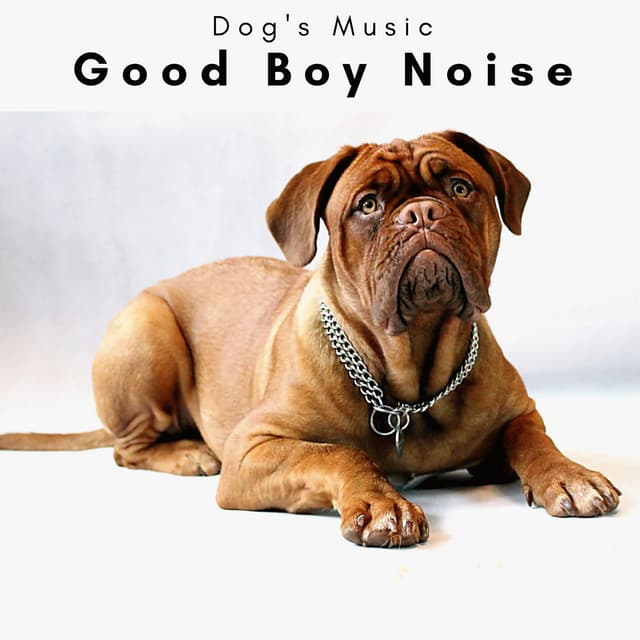 4 Dogs: Good Boy Noise - Dog's Music