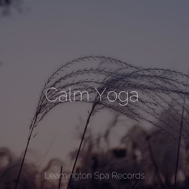 Calm Yoga - Sleeping Music