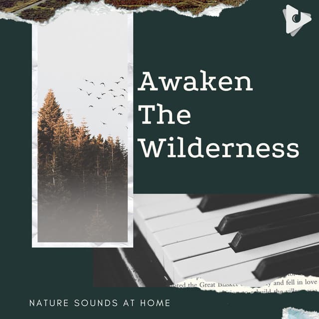 Awaken The Wilderness - Nature Sounds At Home