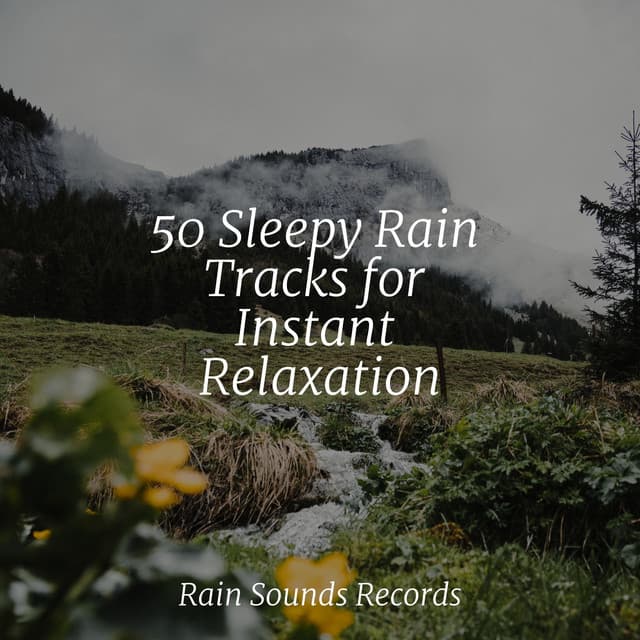50 Sleepy Rain Tracks for Instant Relaxation - Canción de Cuna