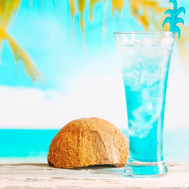 Beach Bar Vibes: Tropical Feeling, Summer Mood - DJ Chillax