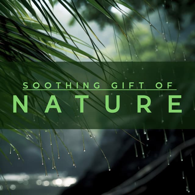 Soothing Gift of Environment - Soundscapes!