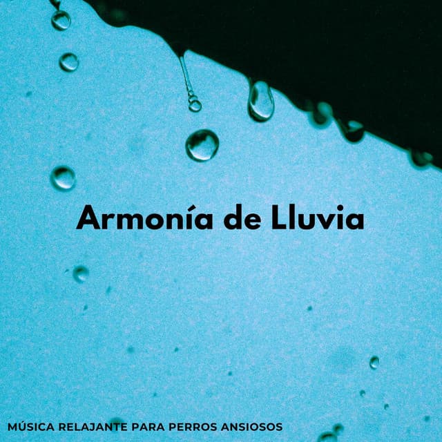 Armonía De Lluvia: Música Relajante Para Perros Ansiosos - Música de día lluvioso