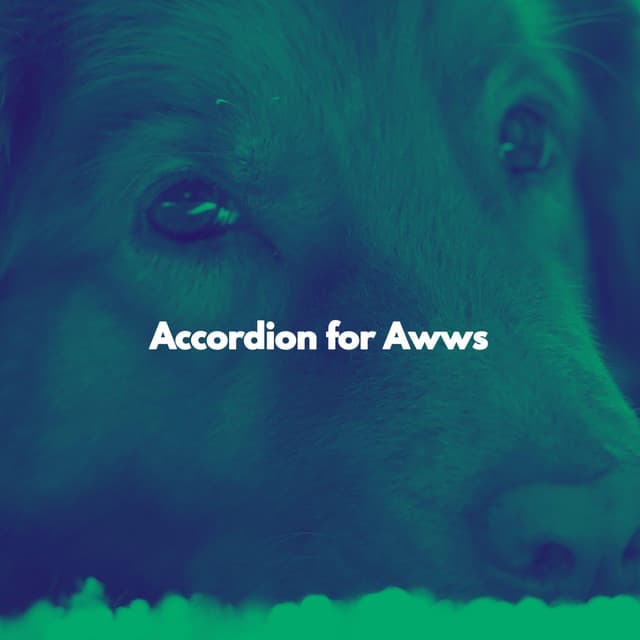 Accordion for Awws - Dog Sleeping Soundtracks Deluxe