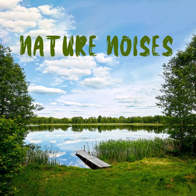 Nature Noises: Positive Well-Being and a Peaceful State of Mind - Odyssey for Relax Music Universe