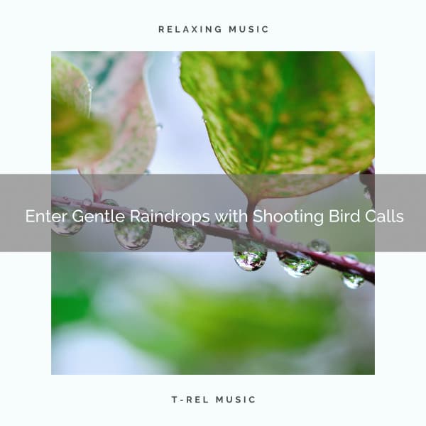 ! ! ! ! ! ! ! ! ! ! Enter Gentle Raindrops with Shooting Bird Calls - Heavy Rain Sounds