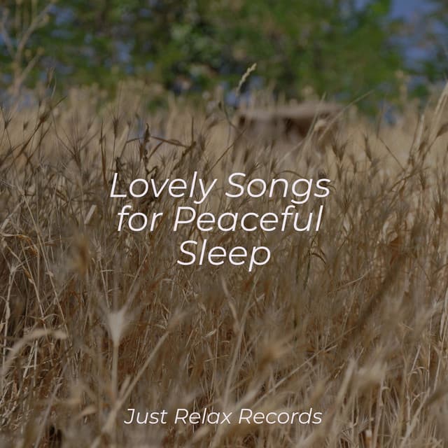 Lovely Songs for Peaceful Sleep - Deep Sleep Relaxation