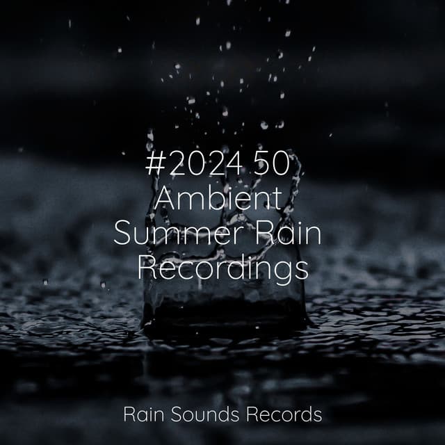 #2024 50 Ambient Summer Rain Recordings - Bird Sounds