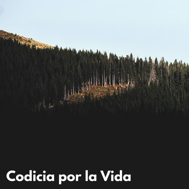 Codicia Por La Vida - VIDA ASMR