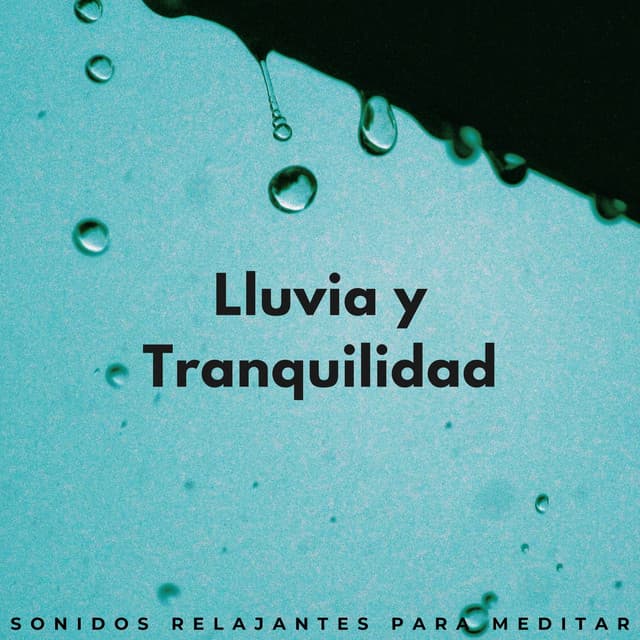 Lluvia Y Tranquilidad: Sonidos Relajantes Para Meditar - Sonidos de lluvia para meditación