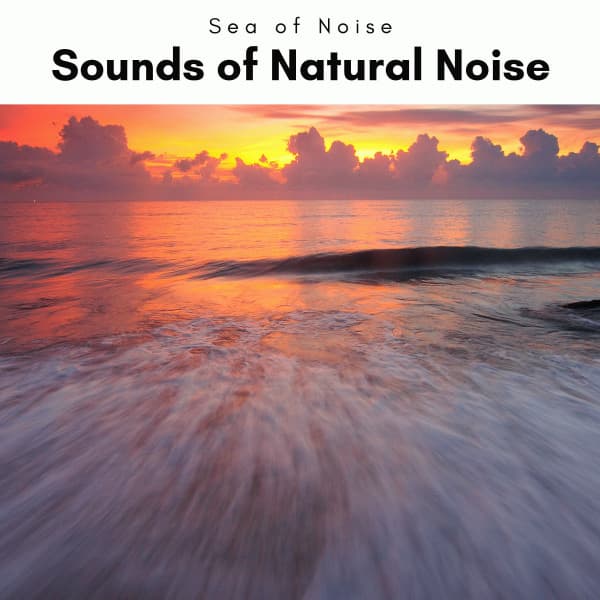 2022 Sounds of Natural Noise - Sea of Noise