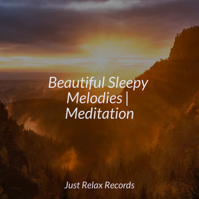 Beautiful Sleepy Melodies | Meditation - Chinese Relaxation and Meditation