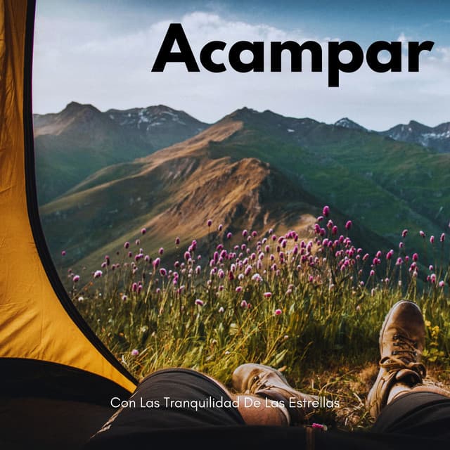 Acampar Con Las Tranquilidad De Las Estrellas - Sonidos De La Noche