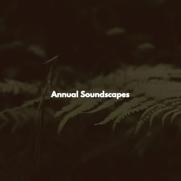 Annual Soundscapes - Música de Trabajo Retro