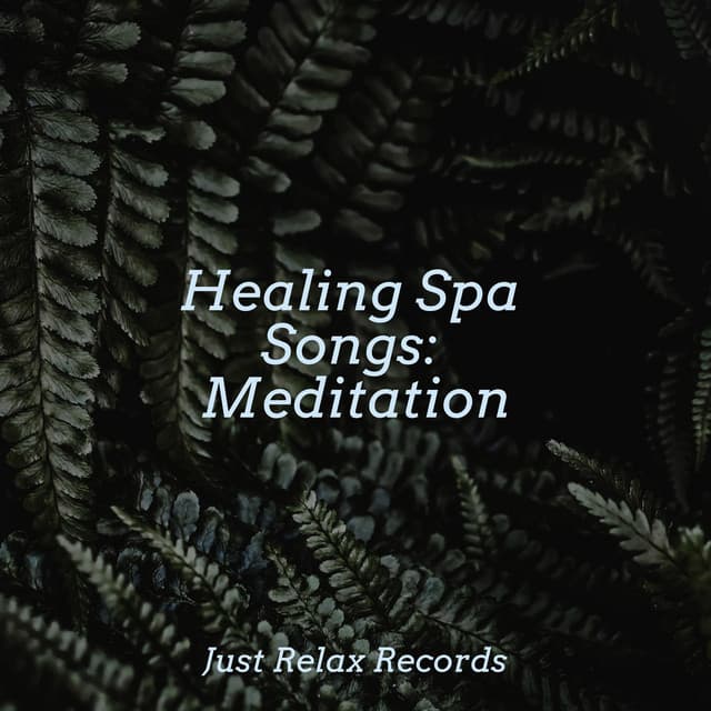 Healing Spa Songs: Meditation - Lullabies for Deep Meditation
