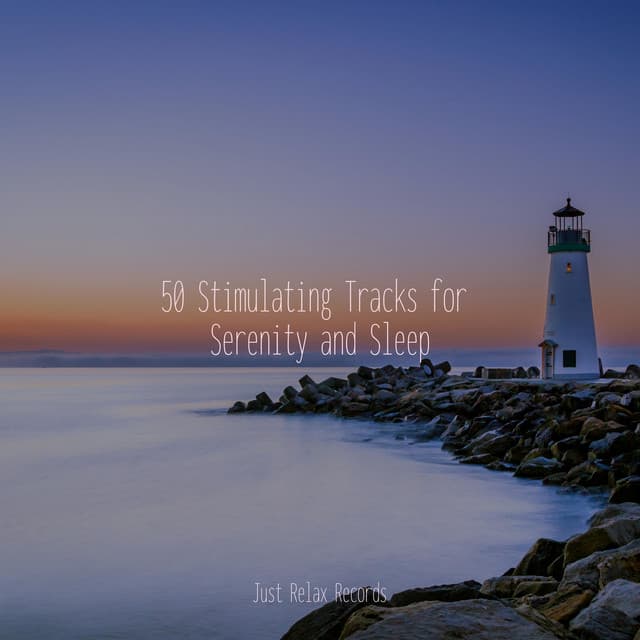 50 Stimulating Tracks for Serenity and Sleep - Meditation Awareness