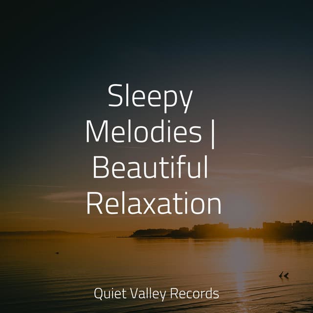 Sleepy Melodies | Beautiful Relaxation - Schlaflieder Für Kinder