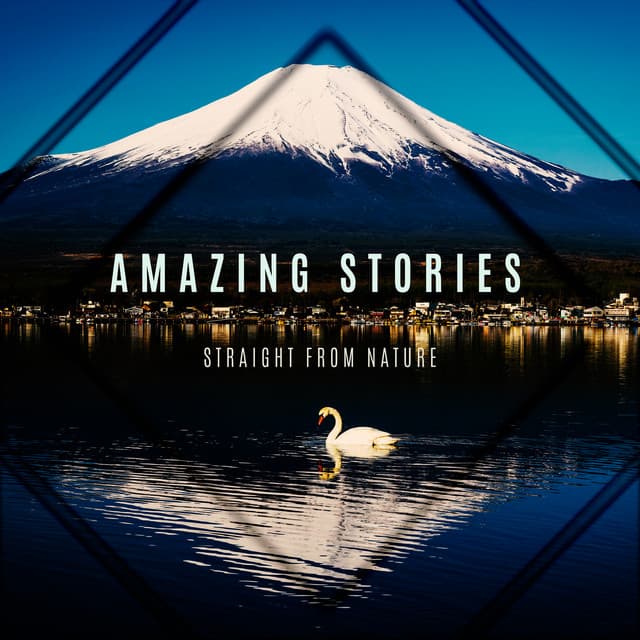 Amazing Stories Straight from Nature. Relaxing Soundtrack - Endless New Age Music Creator