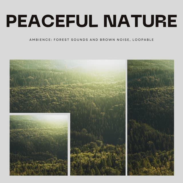 Peaceful Nature Ambience: Forest Sounds and Brown Noise, Loopable - Echoes Of Nature