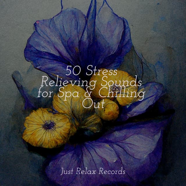 50 Stress Relieving Sounds for Spa & Chilling Out - Rest & Relax Nature Sounds Artists