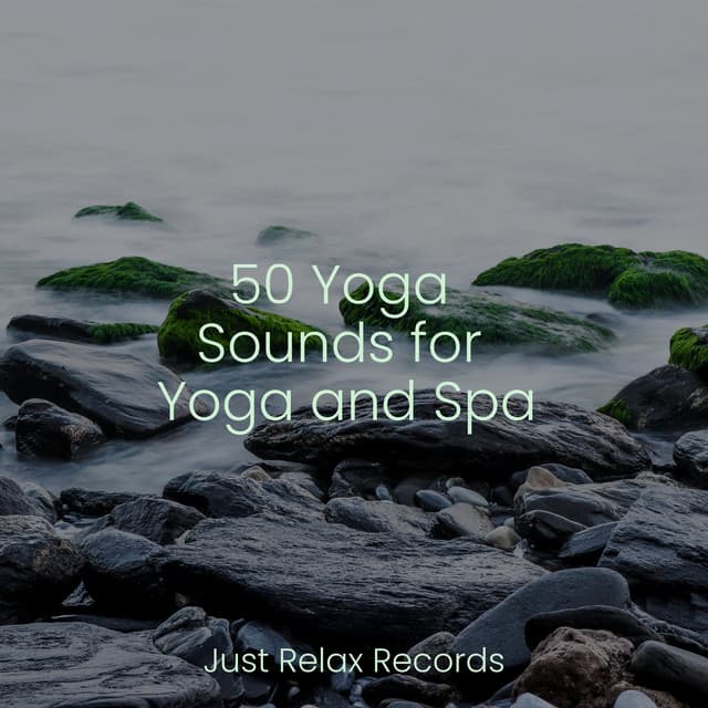 50 Yoga Sounds for Yoga and Spa - Lounge relax