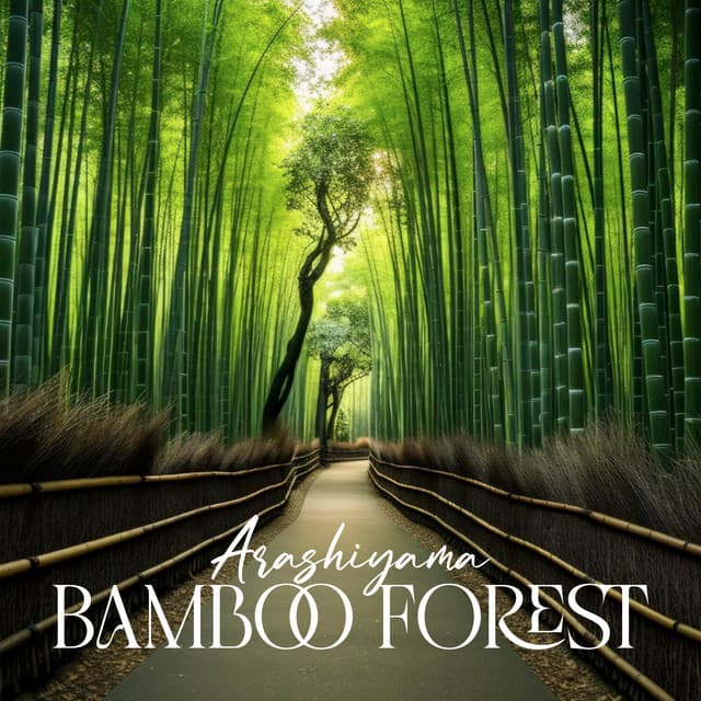 Arashiyama Bamboo Forest - Alice Greenwood