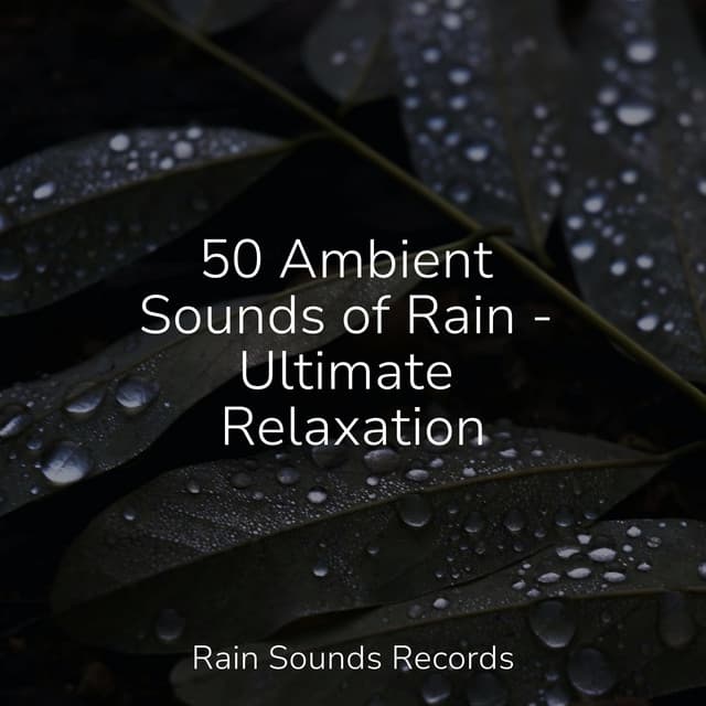 50 Ambient Sounds of Rain - Ultimate Relaxation - Calming Sounds