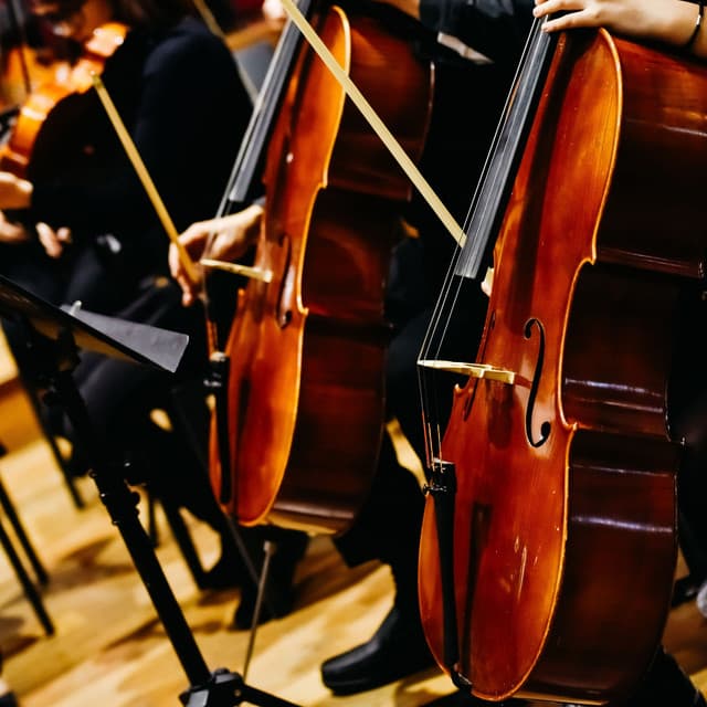 Quiet Orchestra: Nightly Serenades for Rest - Charles Anderson