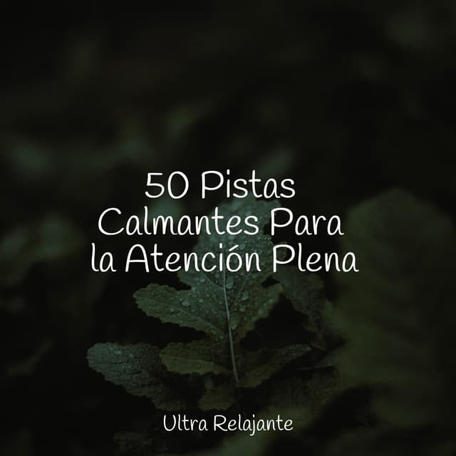 50 Pistas Calmantes Para la Atención Plena - Dormir