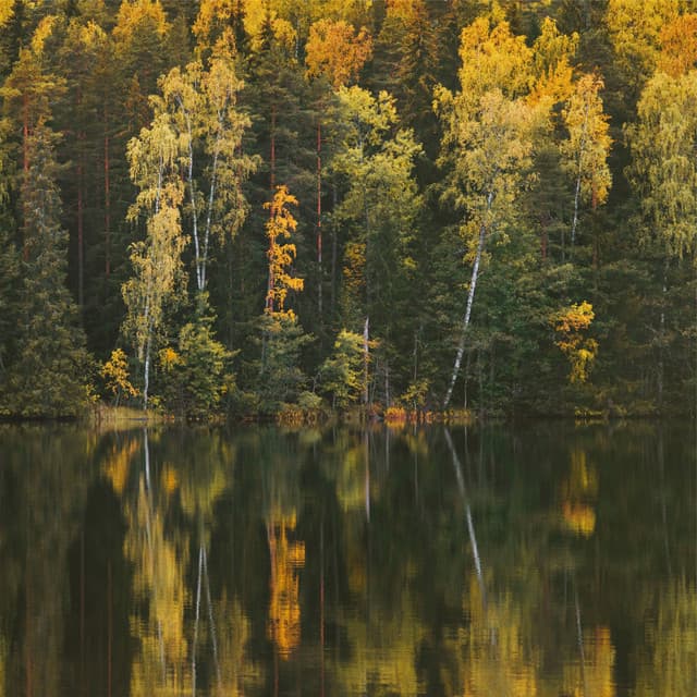 Sereno - Música De Relajación Para Dormir Profundamente