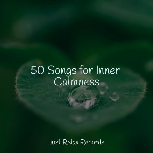 50 Songs for Inner Calmness - Best Relaxing SPA Music