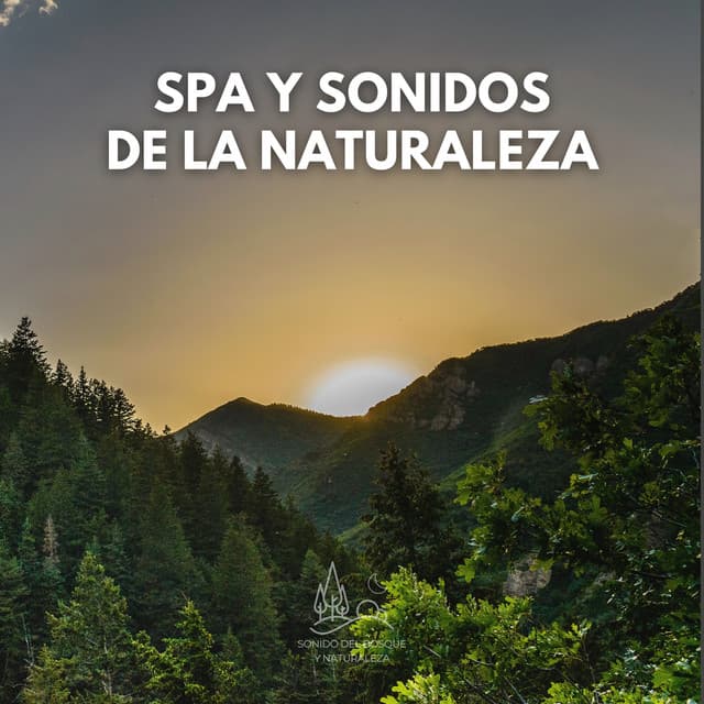 Spa y Sonidos de la Naturaleza - Sonido Del Bosque y Naturaleza