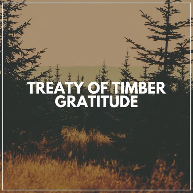 Treaty of Timber Gratitude - Nature's Noise