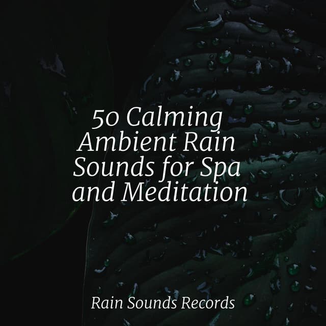 50 Calming Ambient Rain Sounds for Spa and Meditation - Ambient