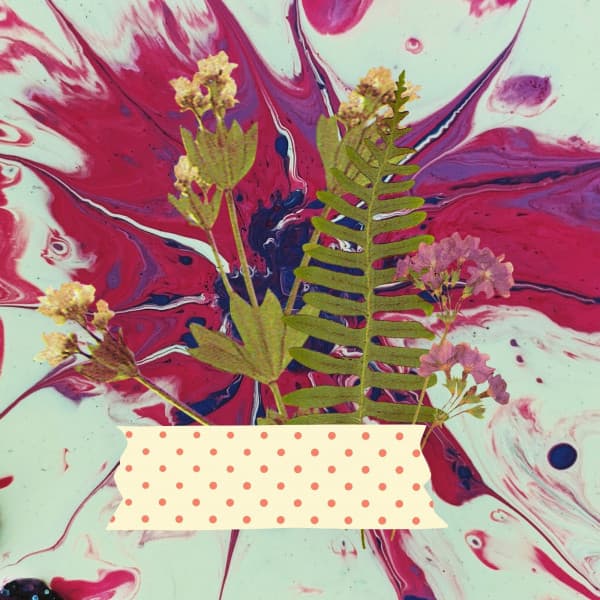 Acoustic Smooth Jazz Guitar - Background for Forgetting Time - Relajante Jazz Bossa Nova