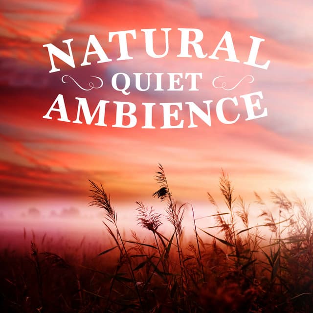 Natural Quiet Ambience - Sweet Baby Sleep Baby