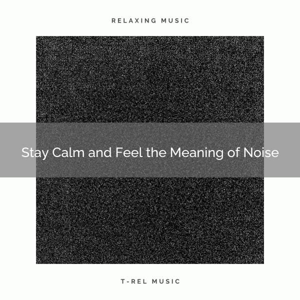 Stay Calm and Feel the Meaning of Noise - Fan Noise for Sleep