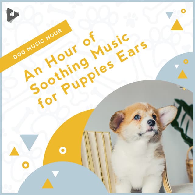 An Hour of Soothing Music for Puppies Ears - Dog Music Hour