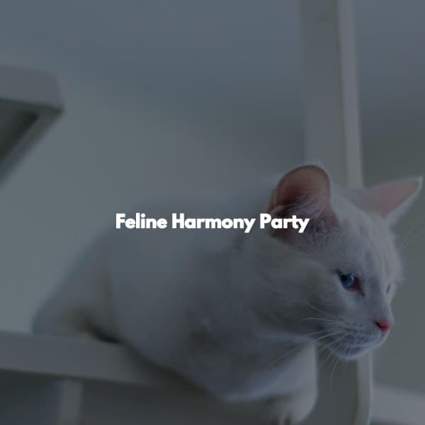 Feline Harmony Party - Elevator Music Project