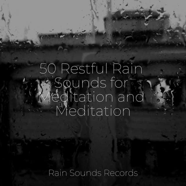 50 Restful Rain Sounds for Meditation and Meditation - Relaxation