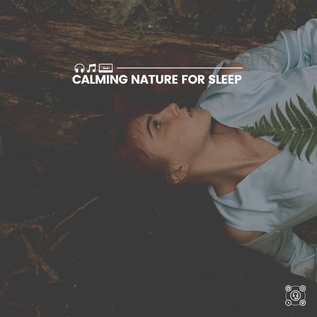 Calming Nature for Sleep - Cricket Sounds
