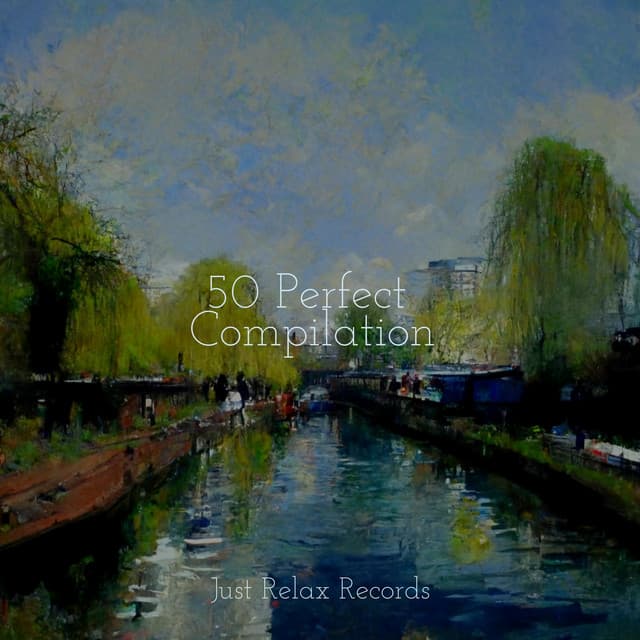 50 Perfect Compilation - Happy Baby Lullaby Collection