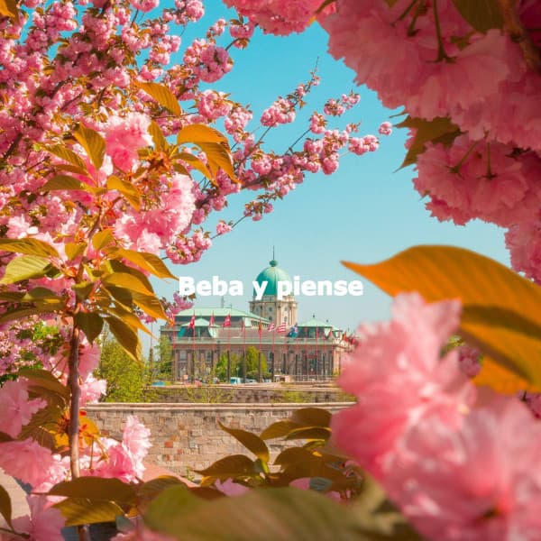 Beba y piense - Alegre Musica para Leer